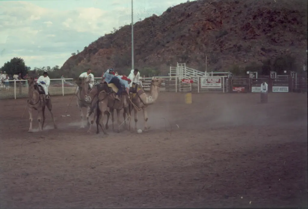 One event at the 1990 Camel Cup event - This is the Po-camel-lo event (Polo on camels).