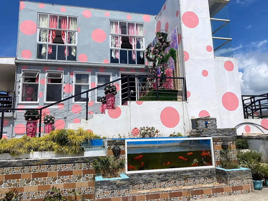 The exterior of Cafe Alicia featuring a distinctive grey and white building covered in large pink polka dots, with a built-in fish tank in the front retaining wall, flower decorations on the staircase, and pink curtains visible in the windows.