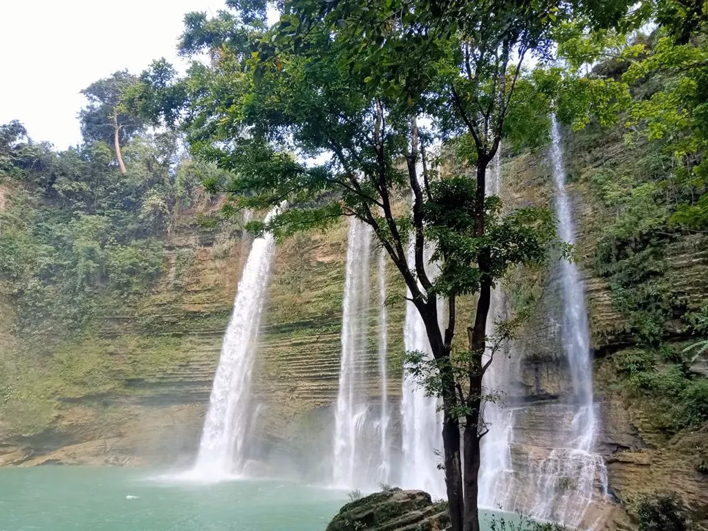 Three parallel waterfalls cascade down a wide layered limestone cliff face at Niludhan Falls in Kabankalan City, Negros Occidental, Philippines, into a jade green pool below, with a lone tree growing at the base of the falls in the foreground.