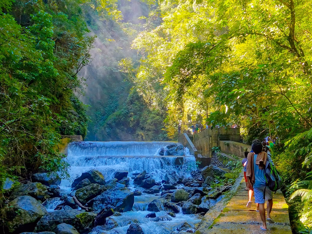 The path leading to the Ditumabo Mother Falls in Aurora.