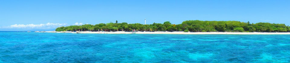 balicasag island bohol marine sanctuary surface