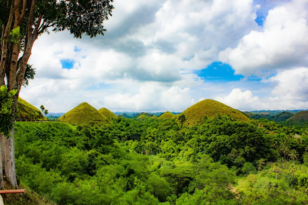The Chocolate hills of Bohol during the dry season. the karst dry hill can be seen well into the distance.