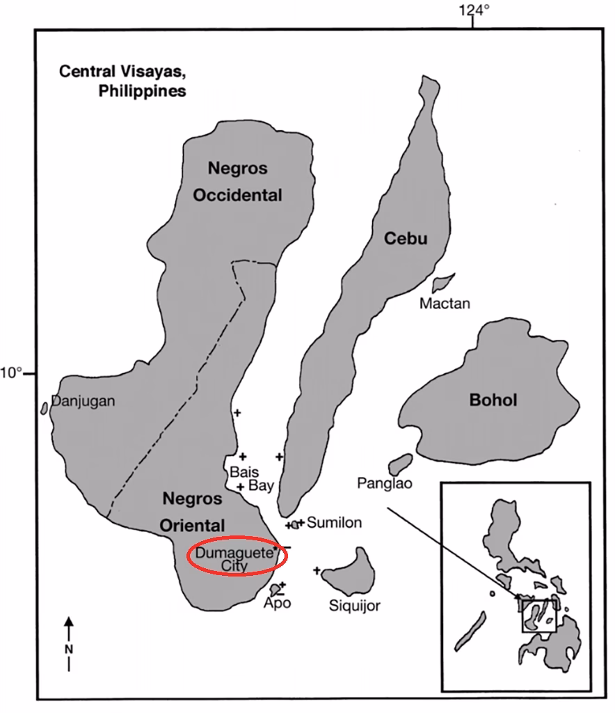 Map of Negros Island showing Dumaguete City and nearby islands in the Philippines.