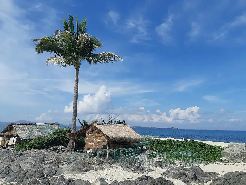 Nipa huts and palm tree on rocky beach in Islas de Gigantes Carles Philippines with ocean view and clear blue sky.